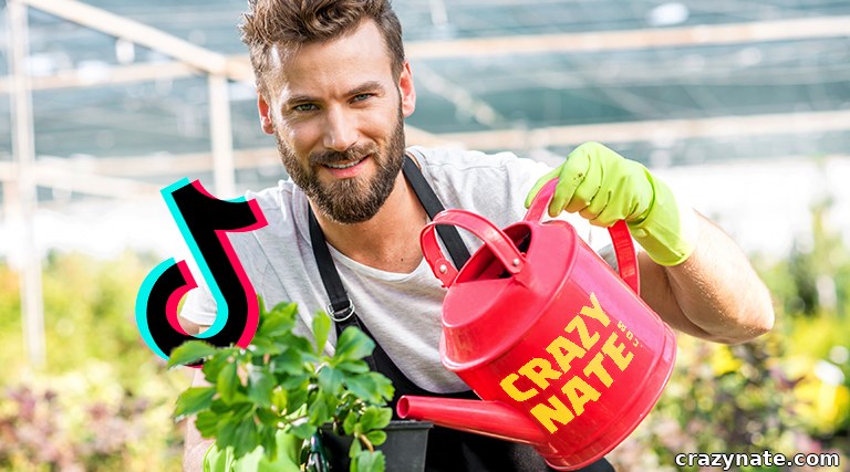 How to Grow Your TikTok