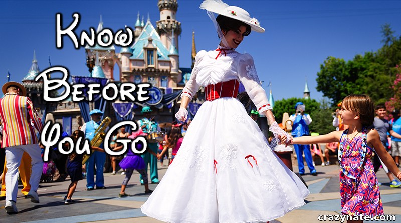 Tips Before Going to Disneyland