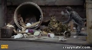movie cats in chip n dale